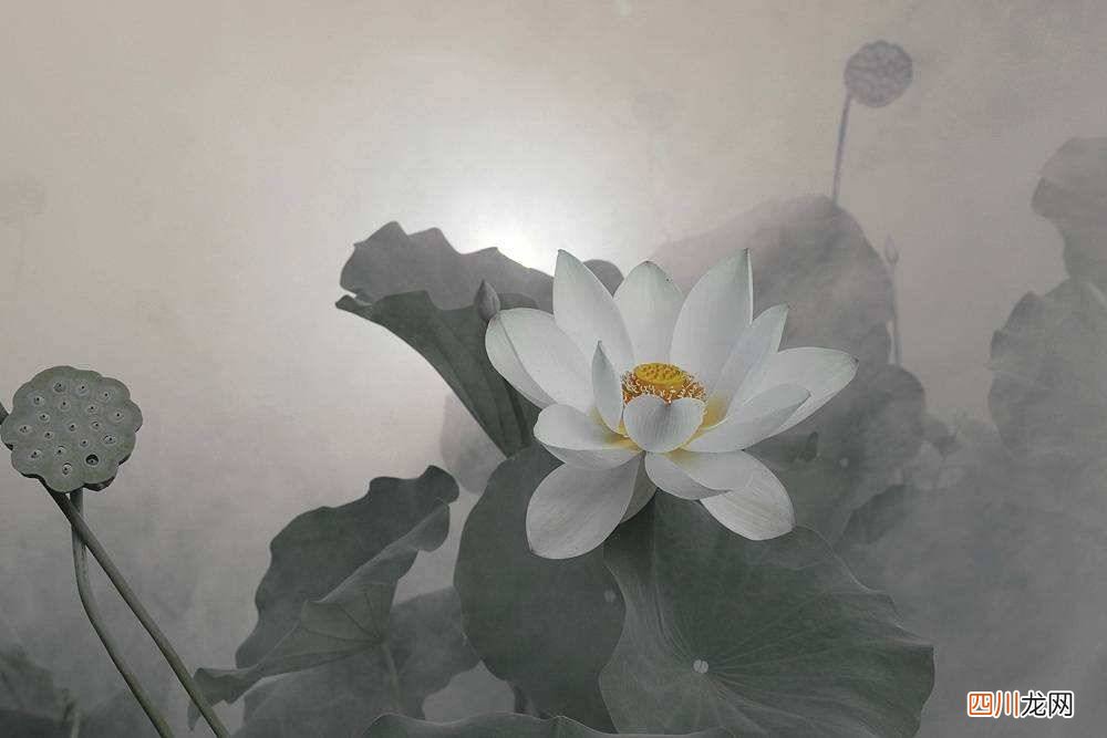 唯姓 唯什么是什么