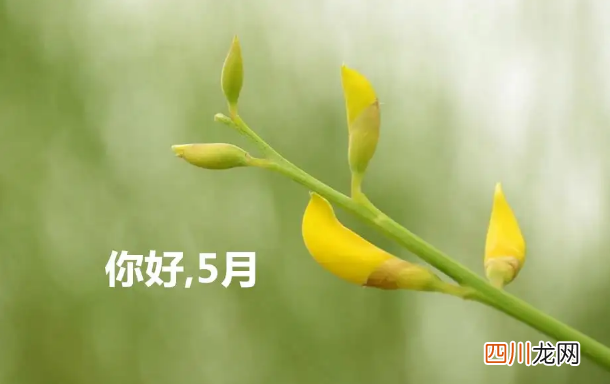 2022年5月会比2021年5月热吗