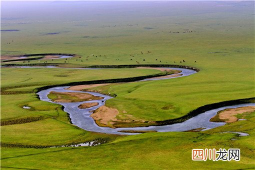 现在农村什么项目赚钱？这5个项目不比在外打拼差！