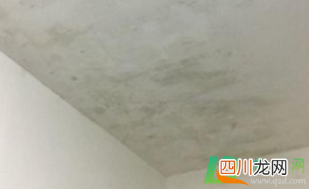 白墙黑霉斑用什么办法洗