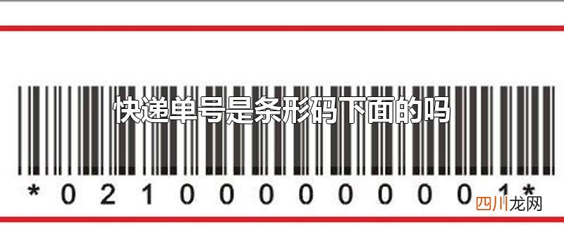 快递单号是条形码下面的吗