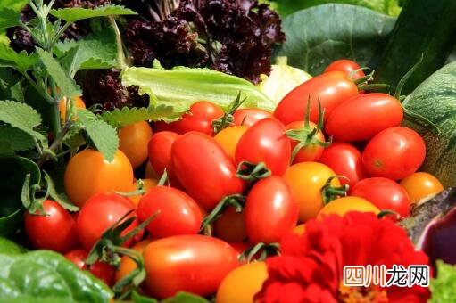 湖南社区团购团长运营方法是什么？怎么申请社区团购团长？