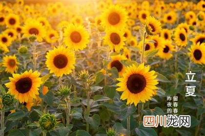 2022年立夏是什么时候？立夏节气天气很热吗？