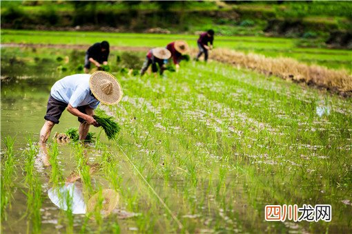 土地征地怎么办？附2021年各地征地补偿标准！