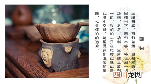 茶韵瑜伽 修身养性