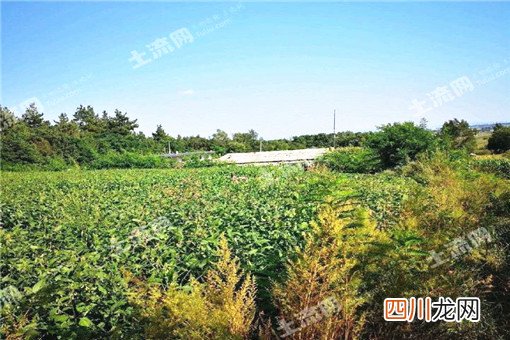 个人如果承包500亩土地 国家补贴多少钱?