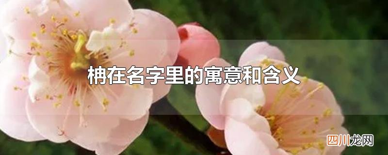 柟在名字里的寓意和含义
