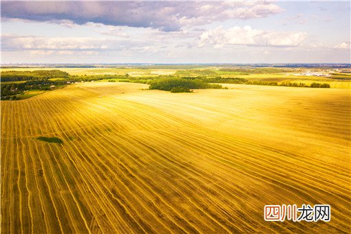 基本农田是否可以土地流转？不注意这3点，很容易吃亏！