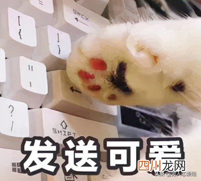最容易聊出感情的10个话题 小心女生让你负责 10个可以聊很久的话题