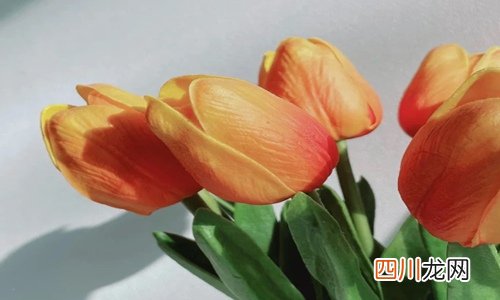 适合所有情绪的句子 发朋友圈简短一句心情说说