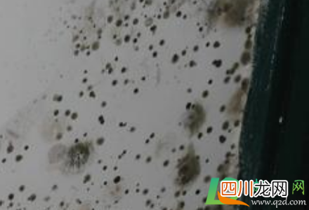 回南天墙壁发霉对人体有害吗