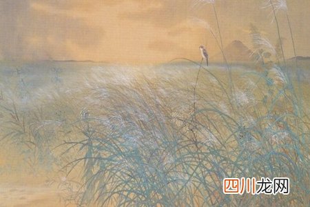 一句话看透一生，人生若只如初见的句子