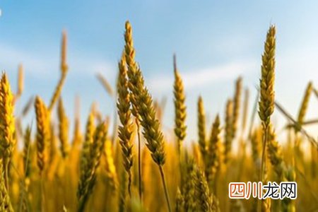 坚持下去的励志句子，保持坚定收获美好的经典语句