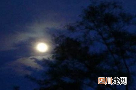 表示夜晚月色迷人的句子，形容夜景的一句话