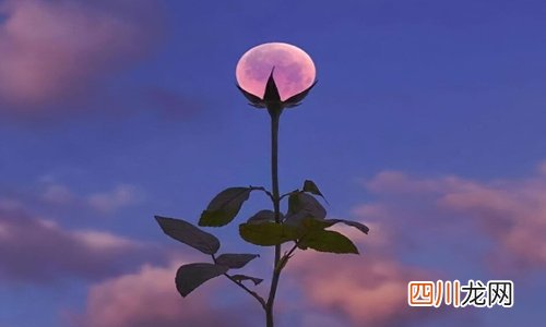 2022女神节祝福语 简短温馨的祝福语