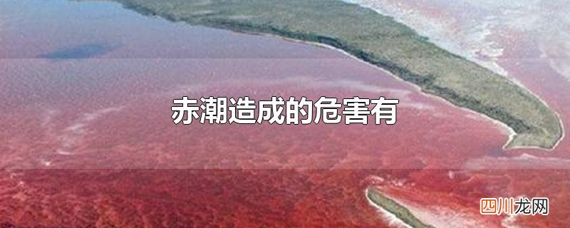 赤潮造成的危害有