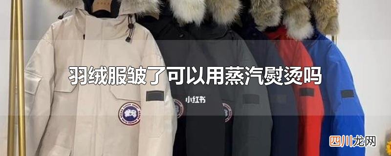 羽绒服皱了可以用蒸汽熨烫吗