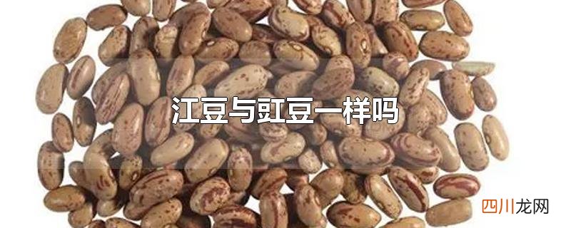 江豆与豇豆一样吗