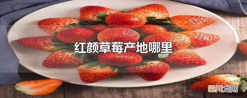 红颜草莓产地哪里