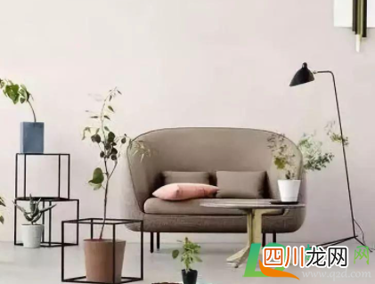 墙容易掉灰有没有好办法