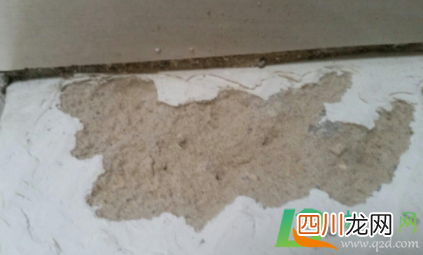 墙容易掉灰有没有好办法