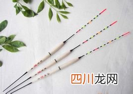 鱼漂为什么会自动长目
