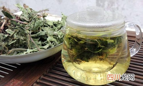 蒲公英茶的功效与作用 蒲公英茶该怎么泡才健康？
