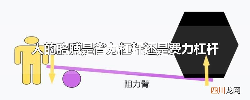 人的胳膊是省力杠杆还是费力杠杆