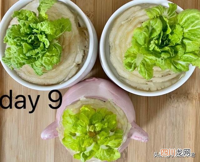 关于上海一男子买不到菜在家水培白菜的信息