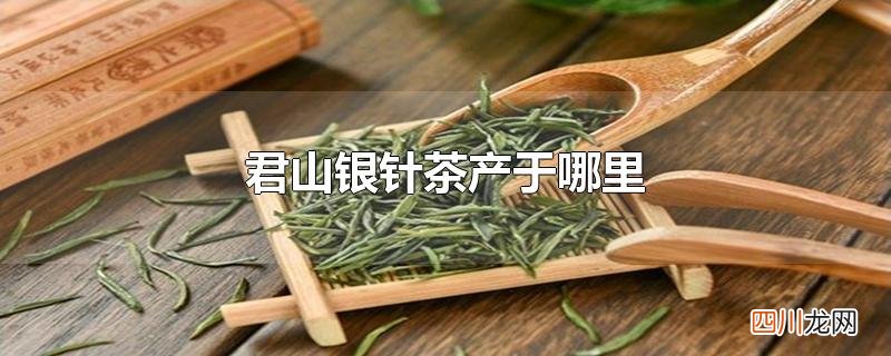君山银针茶产于哪里