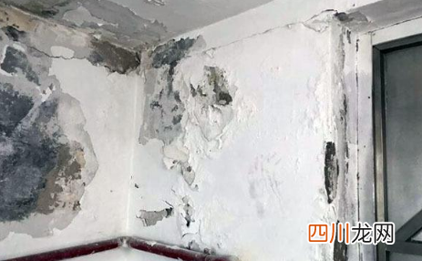 卧室墙面发霉还能睡吗