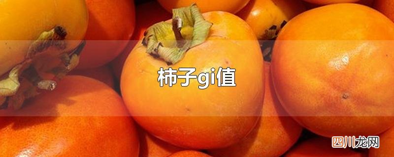 柿子gi值