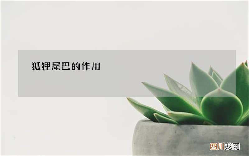 狐狸尾巴的作用