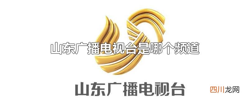 山东广播电视台是哪个频道