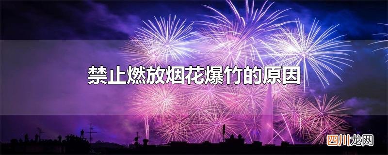 禁止燃放烟花爆竹的原因
