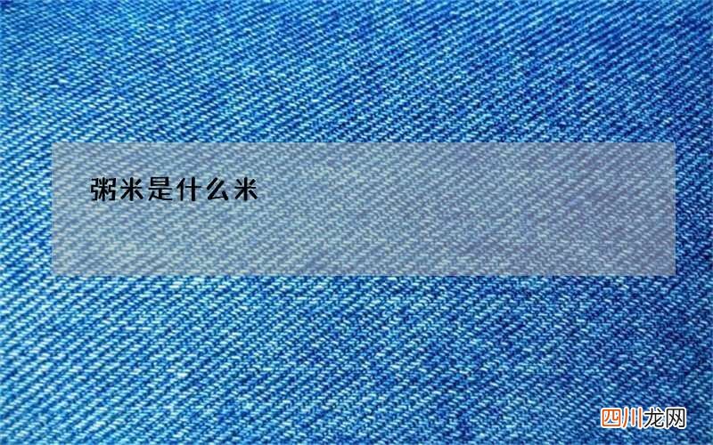 粥米是什么米