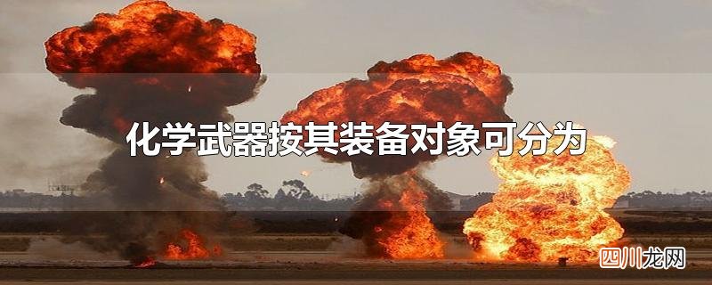 化学武器按其装备对象可分为
