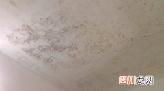 天花板发霉直接刮一遍腻子粉可以吗
