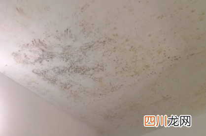 屋里棚顶发霉怎么回事