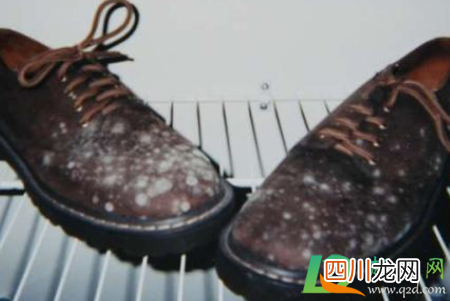 皮鞋长白色霉怎么办