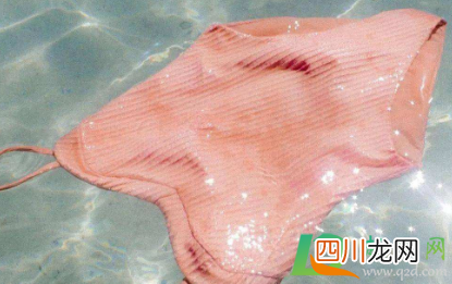 连体泳衣要不要穿内衣