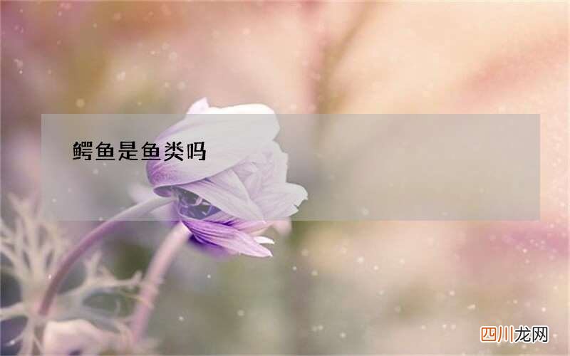鳄鱼是鱼类吗