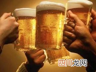 苦瓜啤酒不是苦瓜酿制