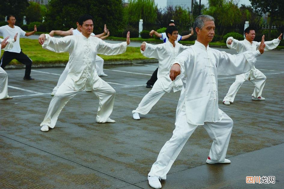 第五届中国广府太极拳年会永年举行