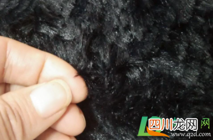 黑衣服掉黑毛什么原因