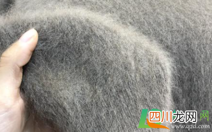 浣熊绒毛衣用什么洗