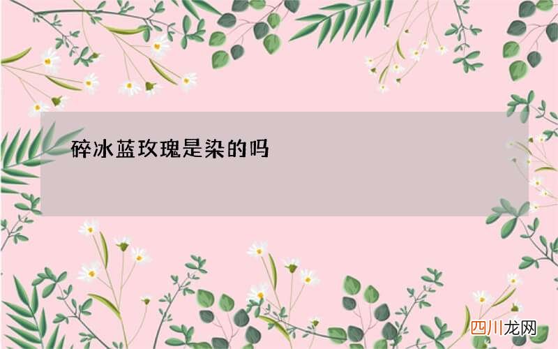 碎冰蓝玫瑰是染的吗