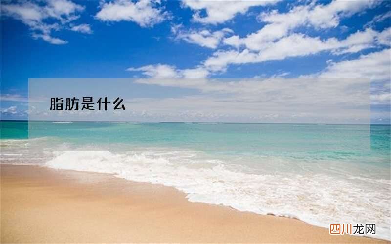 脂肪是什么