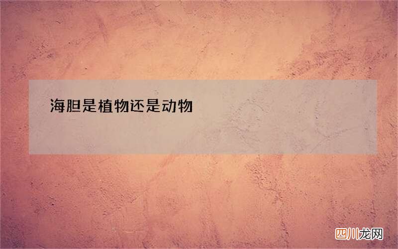 海胆是植物还是动物