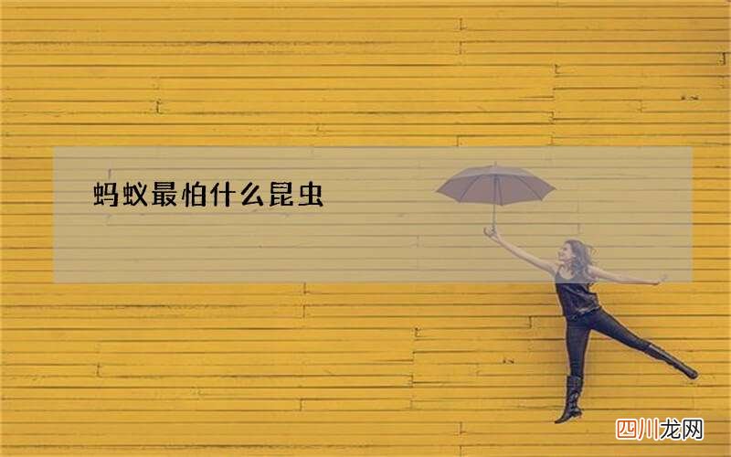蚂蚁最怕什么昆虫